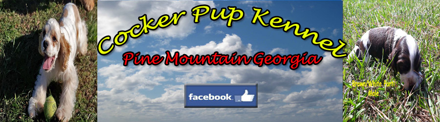 Cocker Pup Kennel logo, a Small Hobby AKC Cocker Spaniel Breeder in Georgia