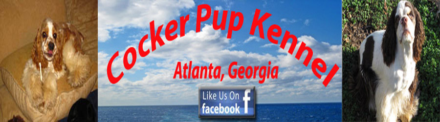 Cocker Pup Kennel logo, a Small Hobby AKC Cocker Spaniel Breeder in Georgia